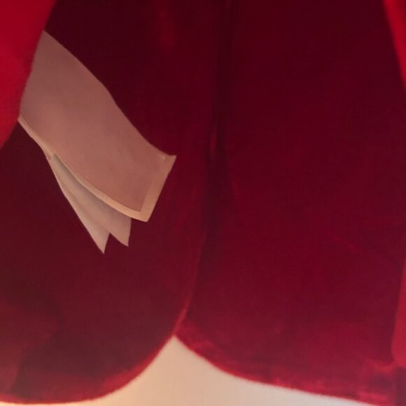 Free People MINKPINK Rich Ruby Velvet Lined Injection Blazer - Picture 6 of 16